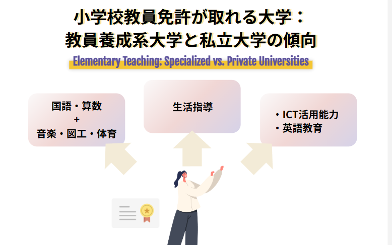 小学校教員免許が取れる大学:教員養成系大学と私立大学の傾向