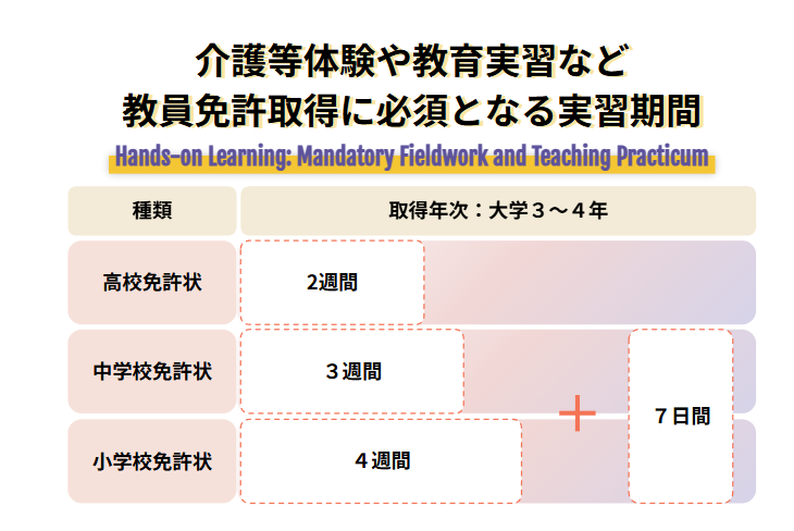 介護等体験や教育実習など教員免許取得に必須となる実習期間