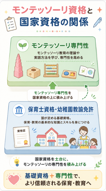 保育士資格や幼稚園教諭免許との関係を確認する
